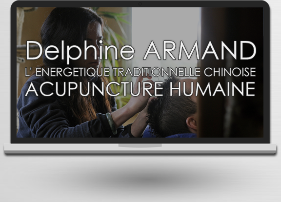 Acupuncture Humaine à Figeac