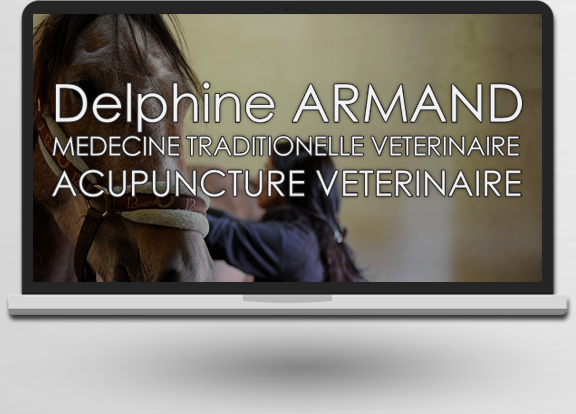 Acupuncture Veterinaire à Figeac